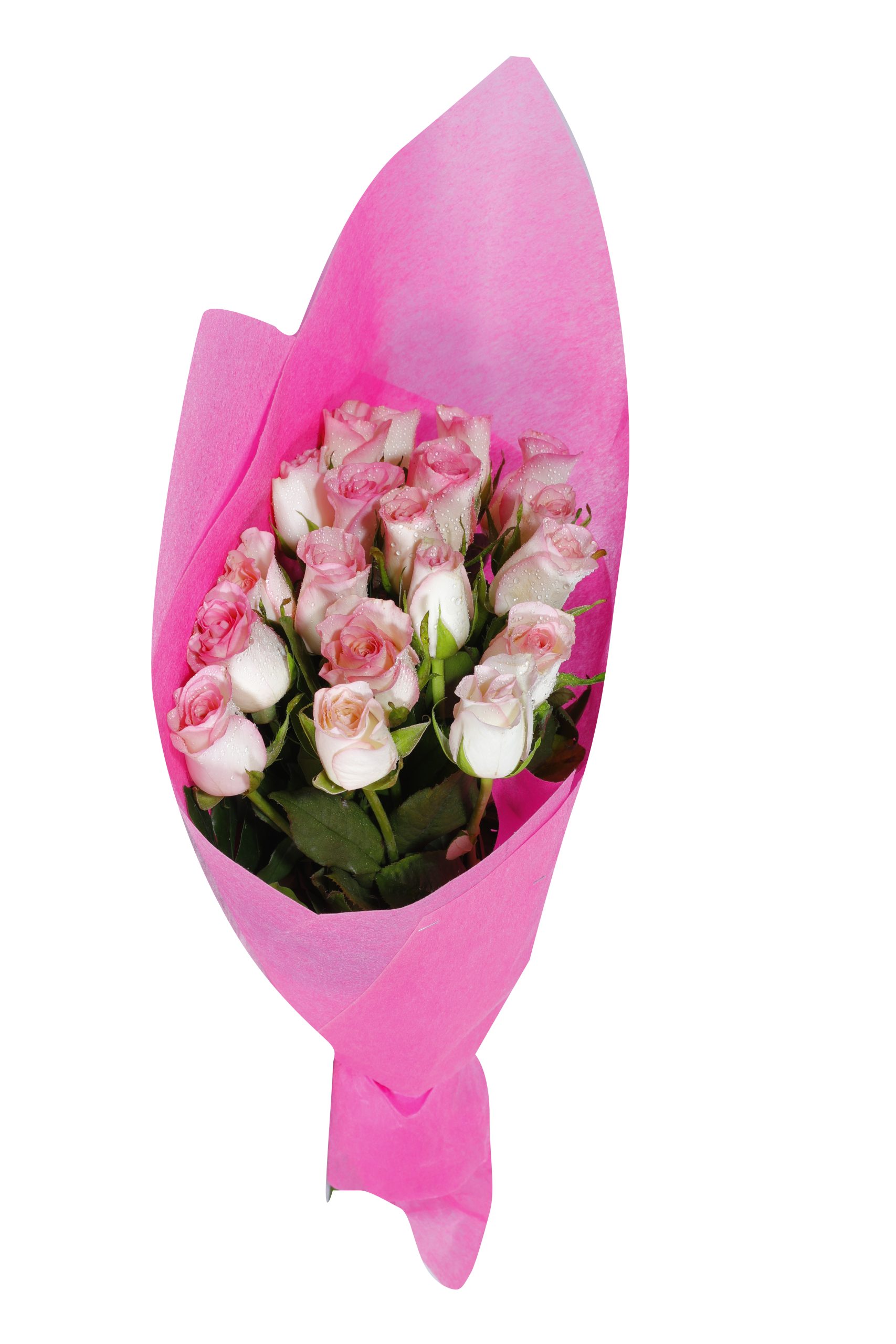 Blushing Rose Bouquet