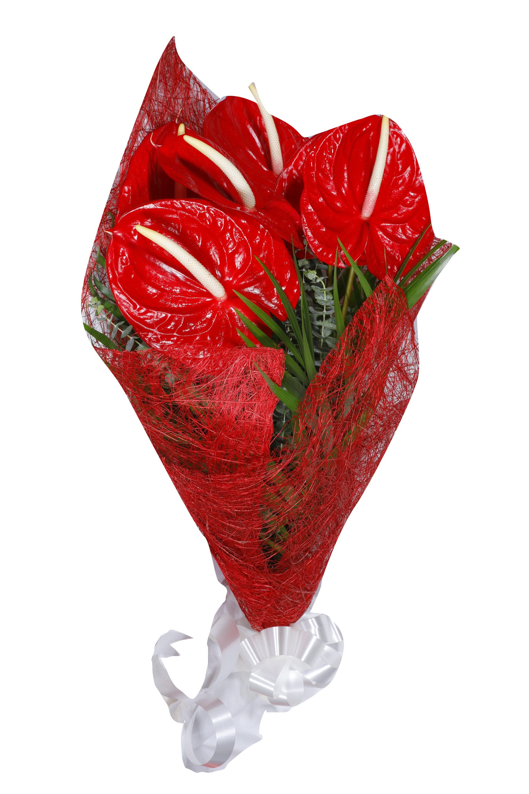 Anthurium Bouquet