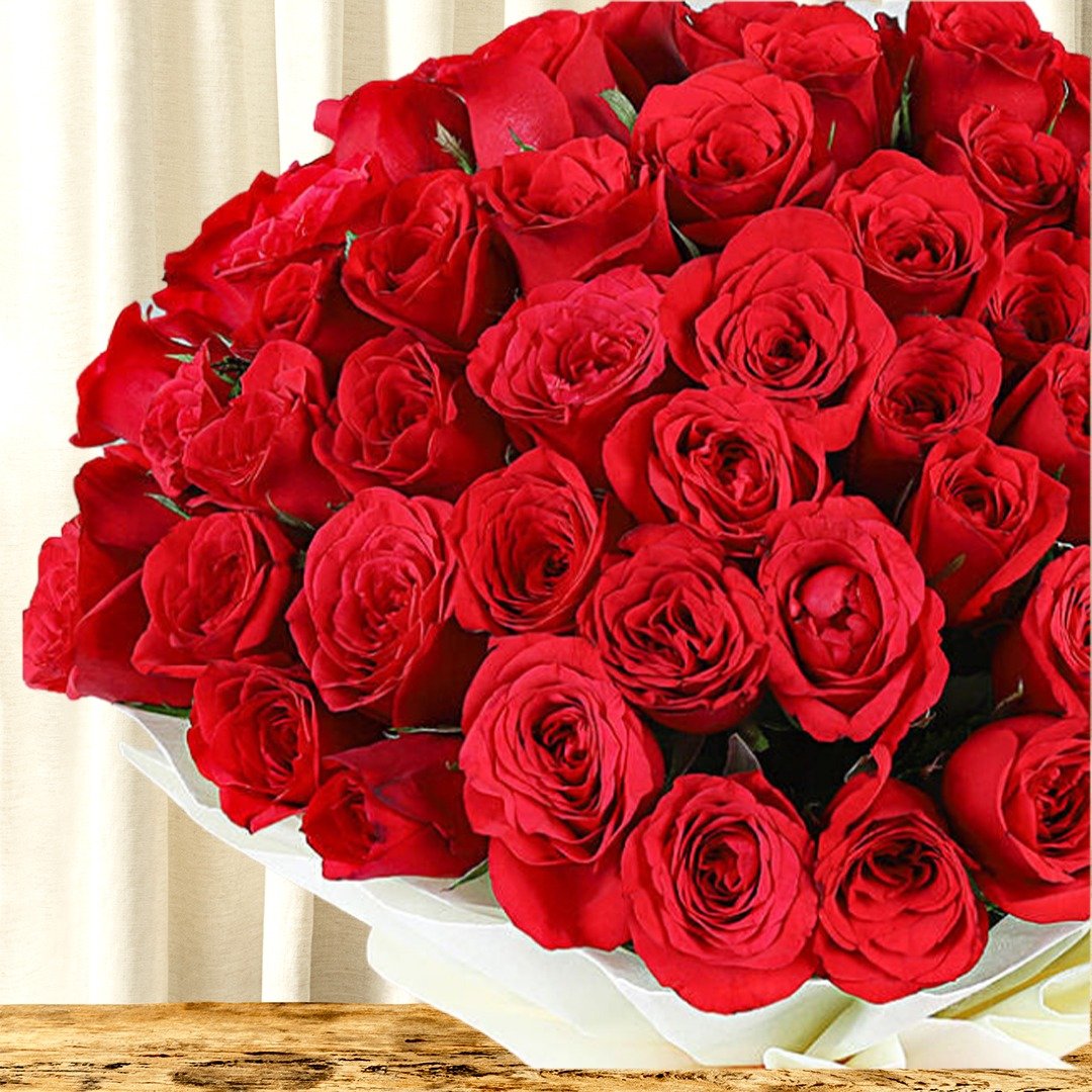 rose-image